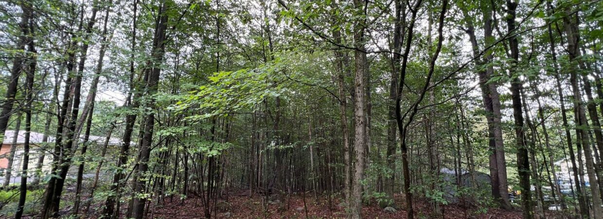 Build your Dream Home on This Half Acre! Payments start at $200/mo!