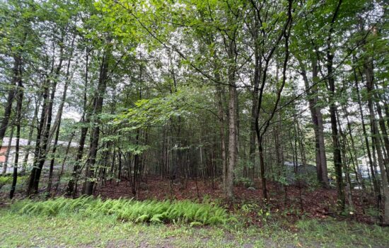 Build your Dream Home on This Half Acre! Payments start at $200/mo!